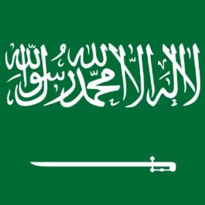 Saudi Arabia Flag